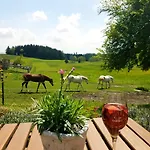 Lejlighed Klosterhof Eggenreute Wangen im Allgäu