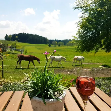 Apartman Klosterhof Eggenreute Wangen im Allgäu