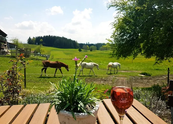 Διαμέρισμα Klosterhof Eggenreute Wangen im Allgäu