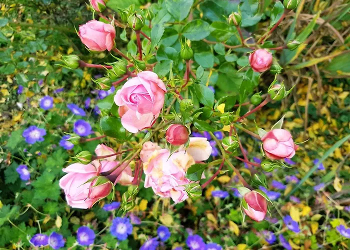 Klosterhof Eggenreute * Wangen im Allgäu